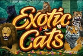 Exotic Cats recension